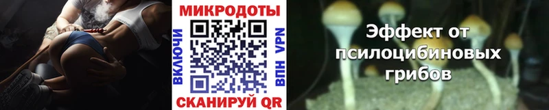 Псилоцибиновые грибы Psilocybine cubensis  как найти закладки  Иннополис 